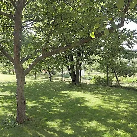 River Side Near Besenova מלון *